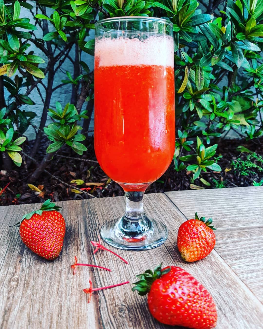 SUCO DE MORANGO 500ml