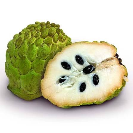 ATEMOIA KG
