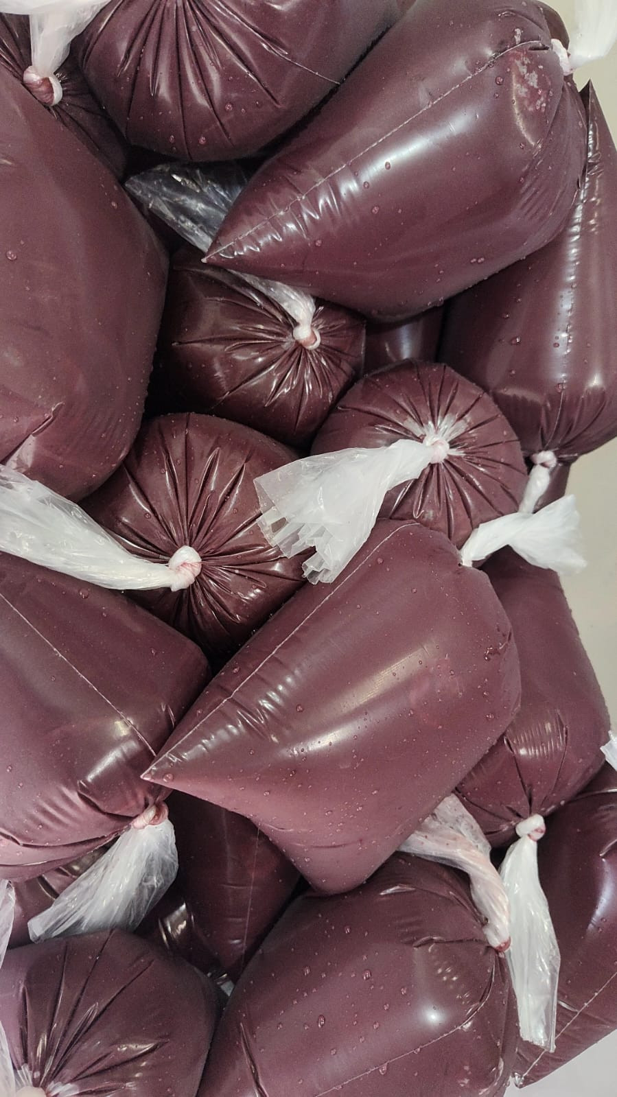 ACAI 1 LT