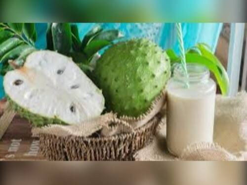 SUCO DE GRAVIOLA