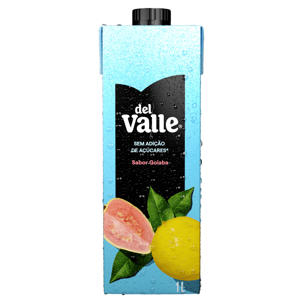 NECTAR DEL VALLE GOIABA CX1L