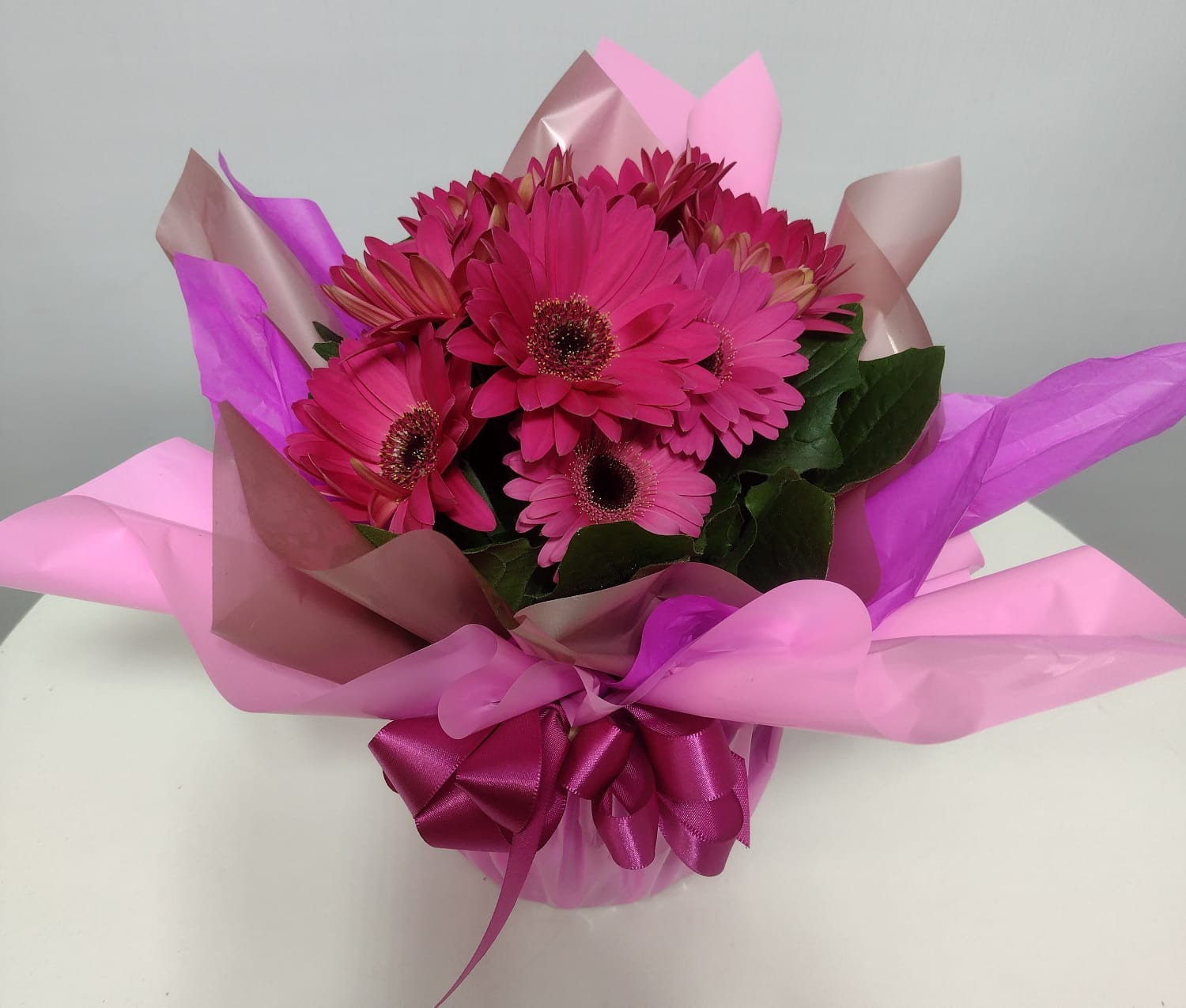 GERBERA 