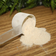 Whey Protein