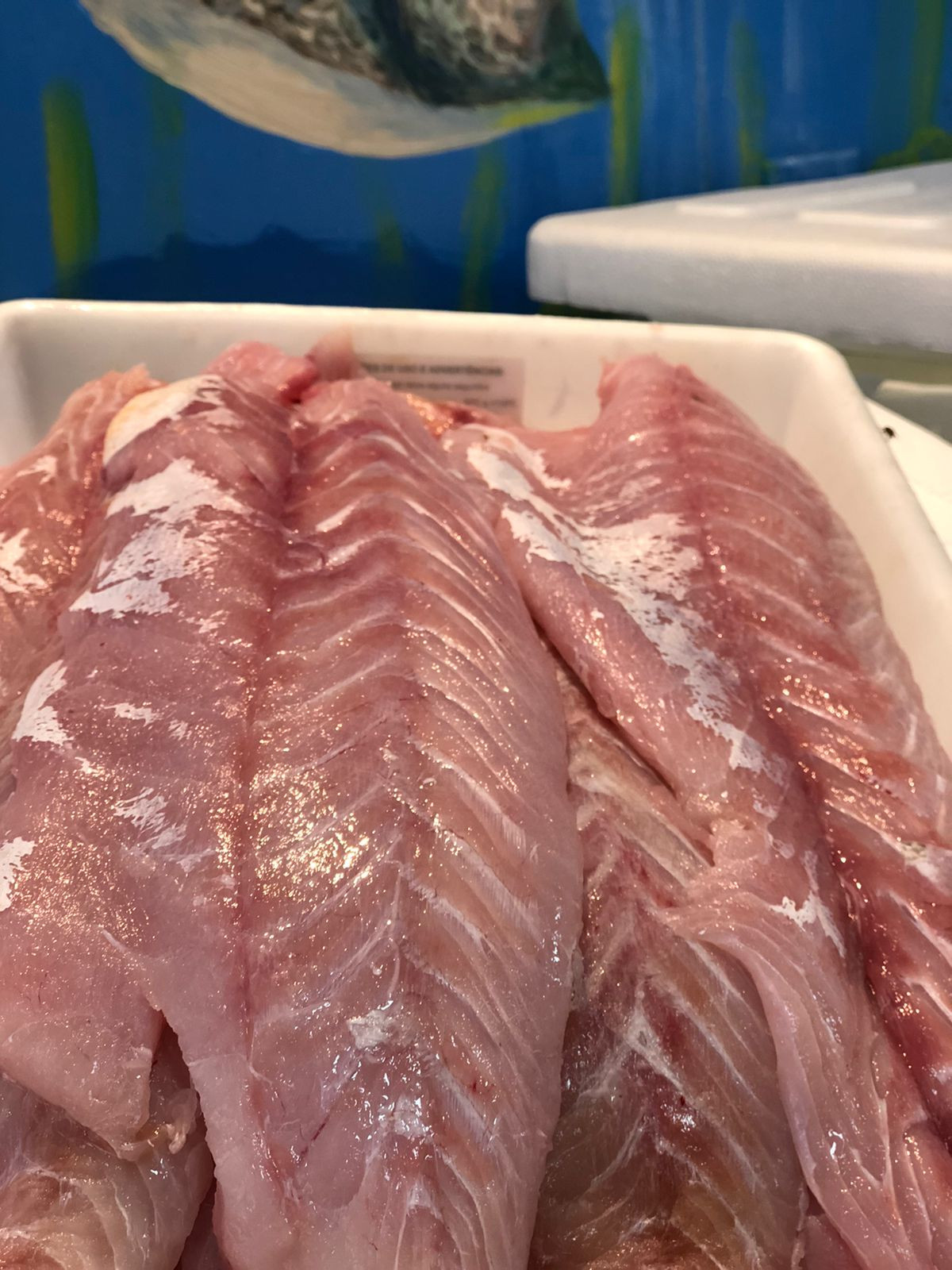 Filé de robalo (1kg)
