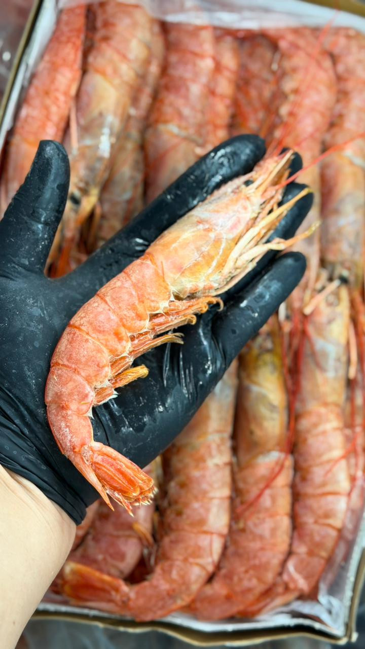 Camarão santana inteiro (500g)