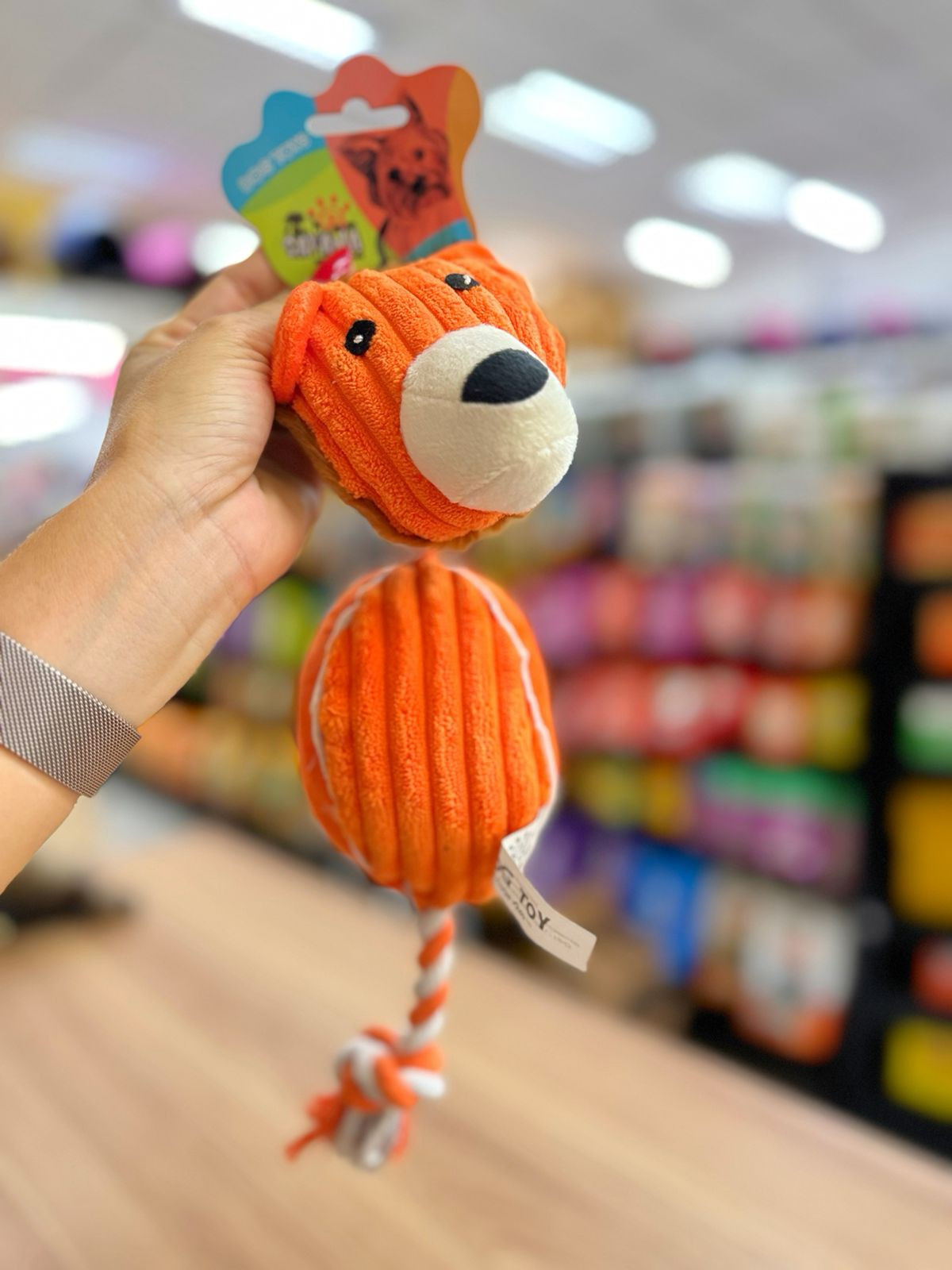 Brinquedo Pelúcia Leão com Corda