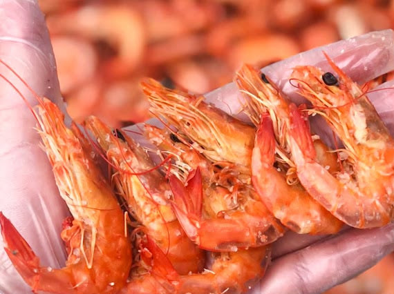 Camarão inteiro torrado (250g)