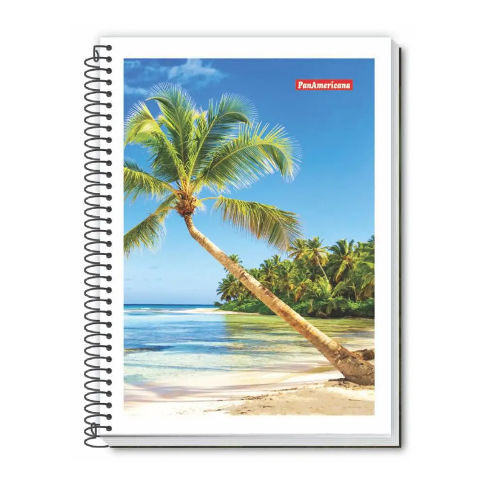 CADERNO PANAMERICANA ESPIRAL 1/4 C/48FLS
