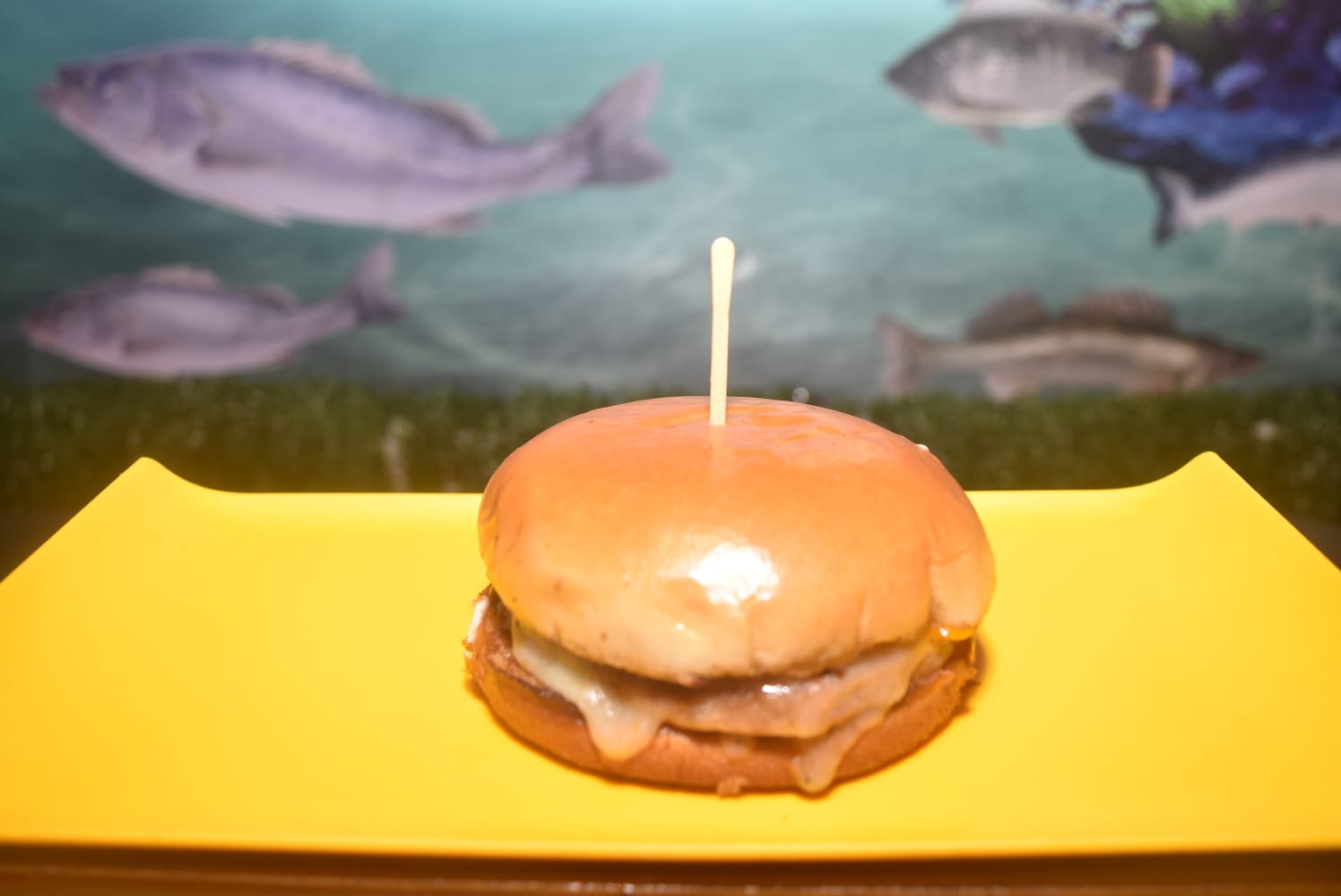 X-BURGUER