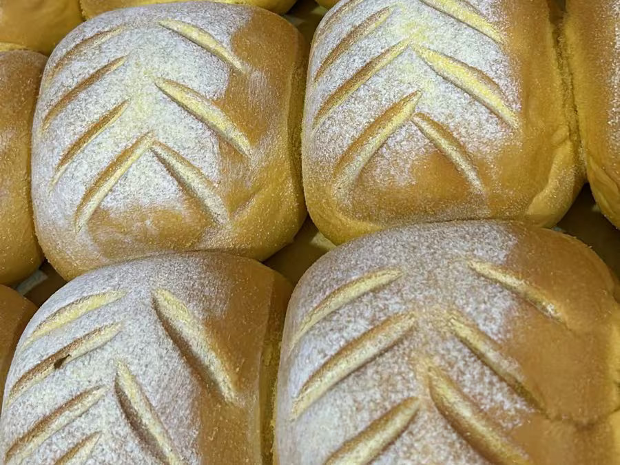 Pao de Milho