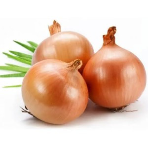 CEBOLA KG