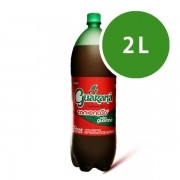 CONVENÇÃO GUARANÁ 2L