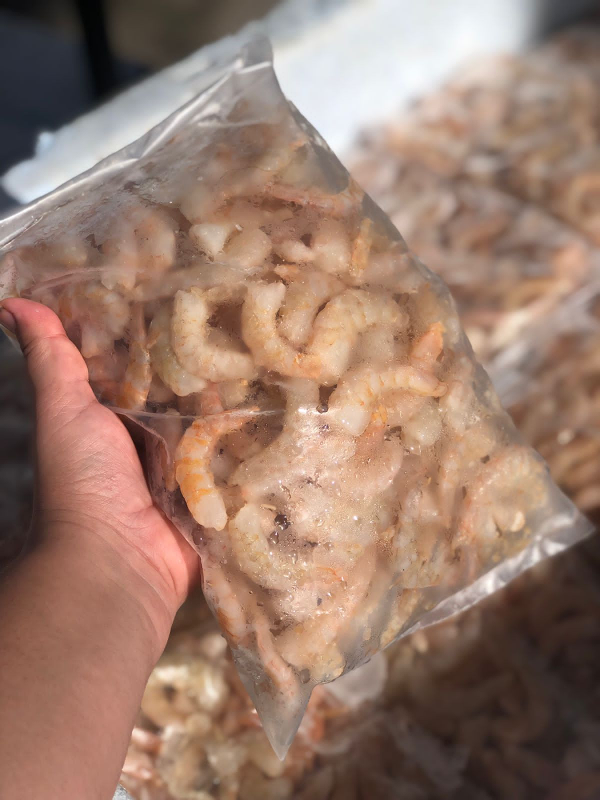 Filé de camarão rosa M (1kg)