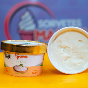 POTE SORVETE TAPIOCA POTE 240ML