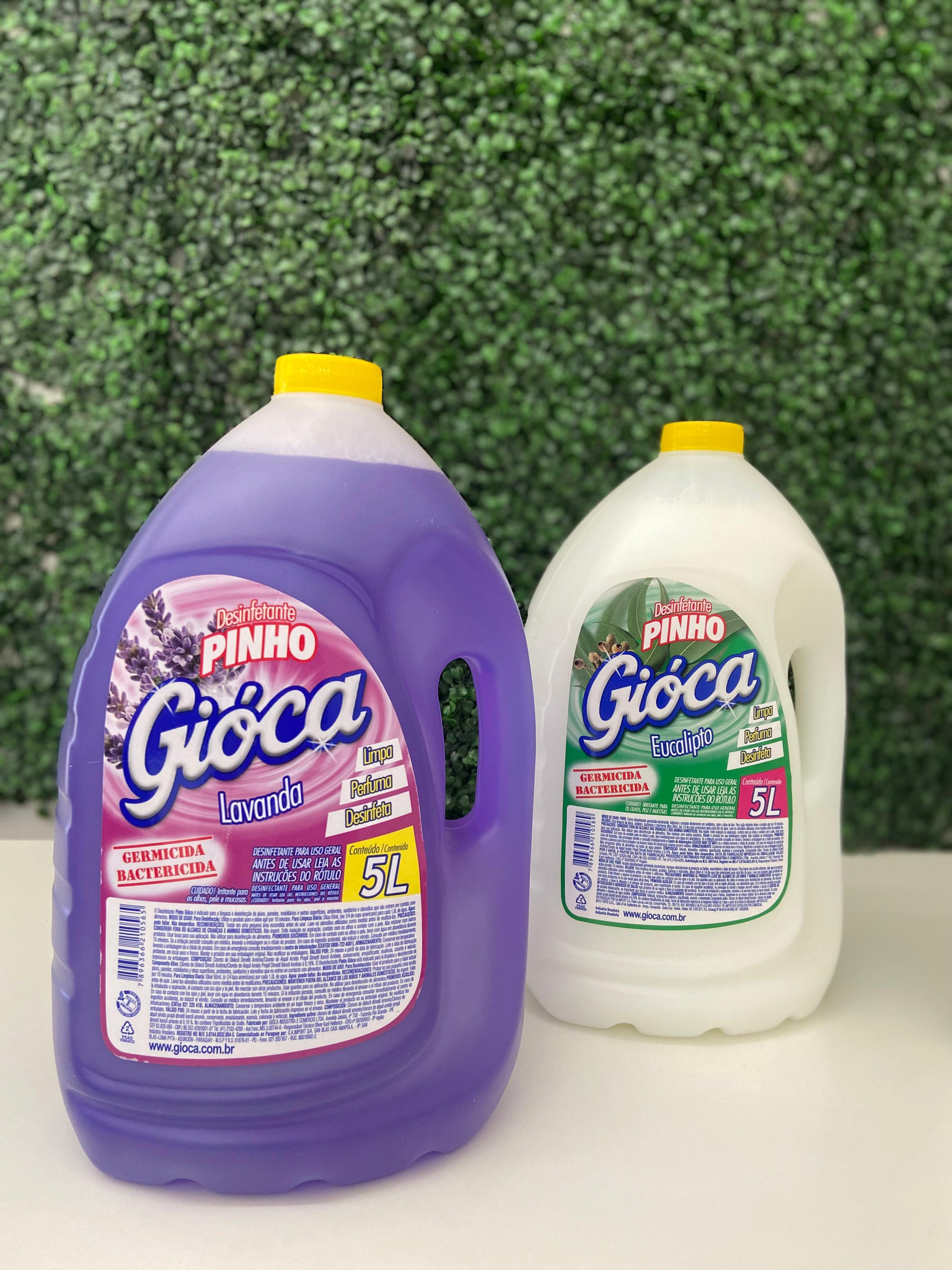 DESINFETANTE GIOCA PINHO