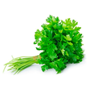 CHEIRO VERDE MACO