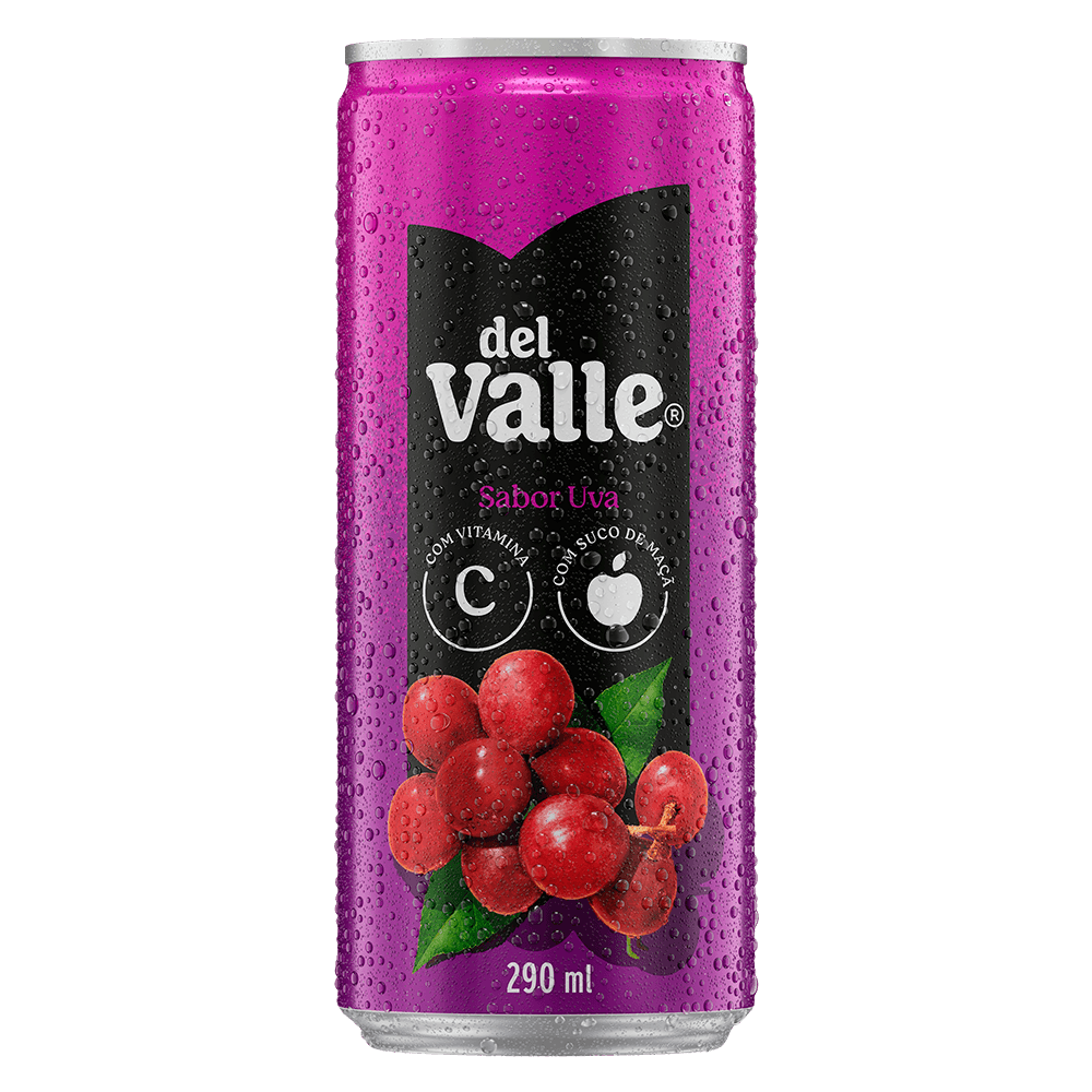 SUCO DELVALLE
