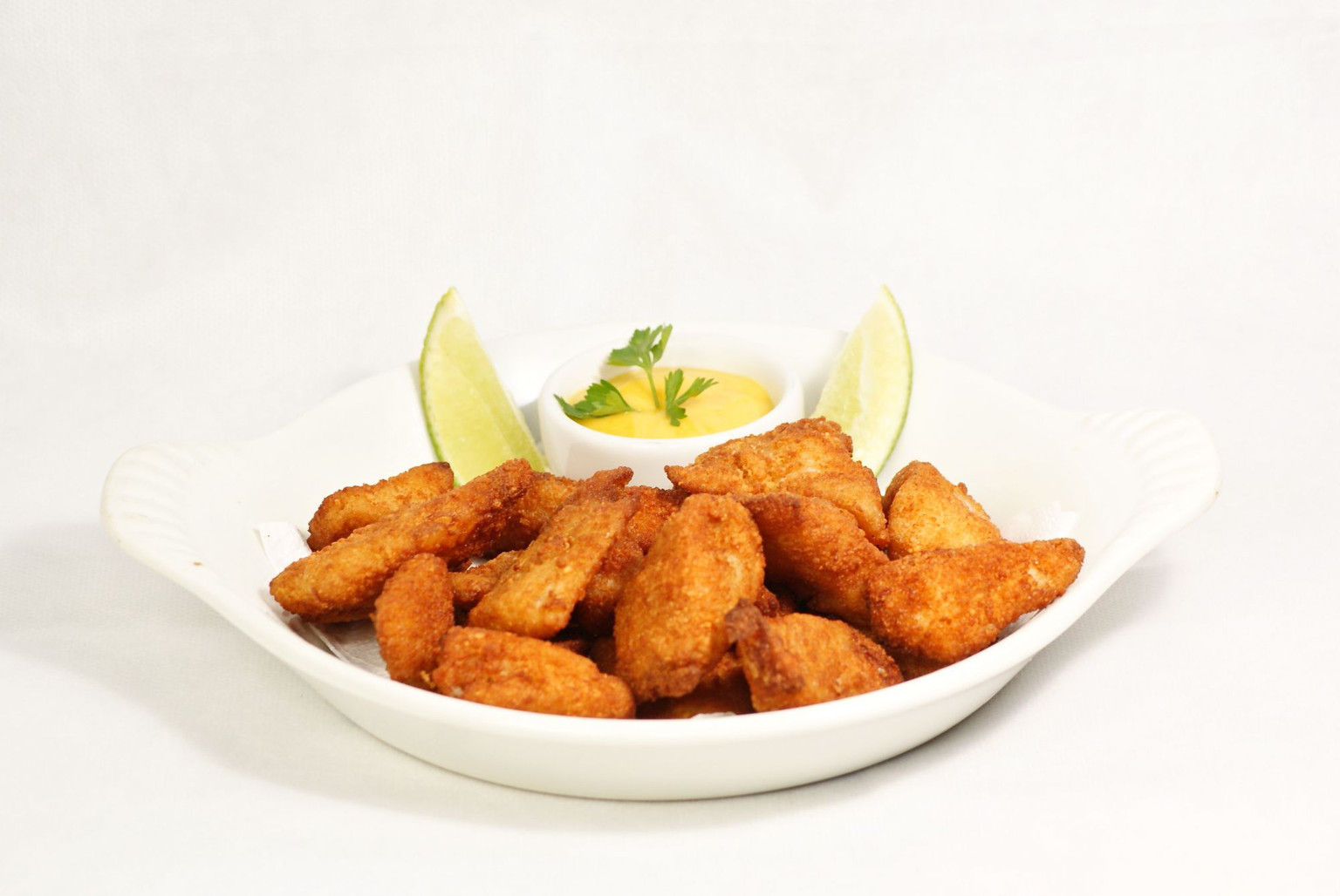 ISCAS DE PEIXE