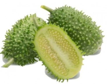 MAXIXE