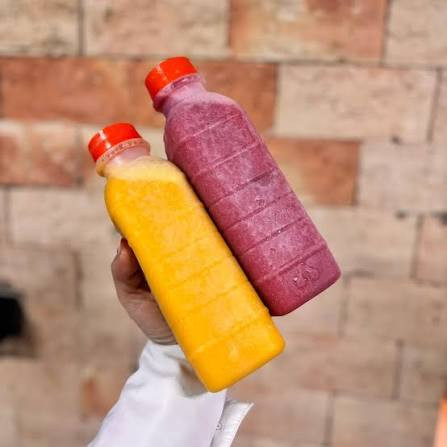 SUCOS 500ML