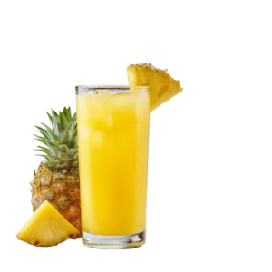 SUCO ABACAXI COPO