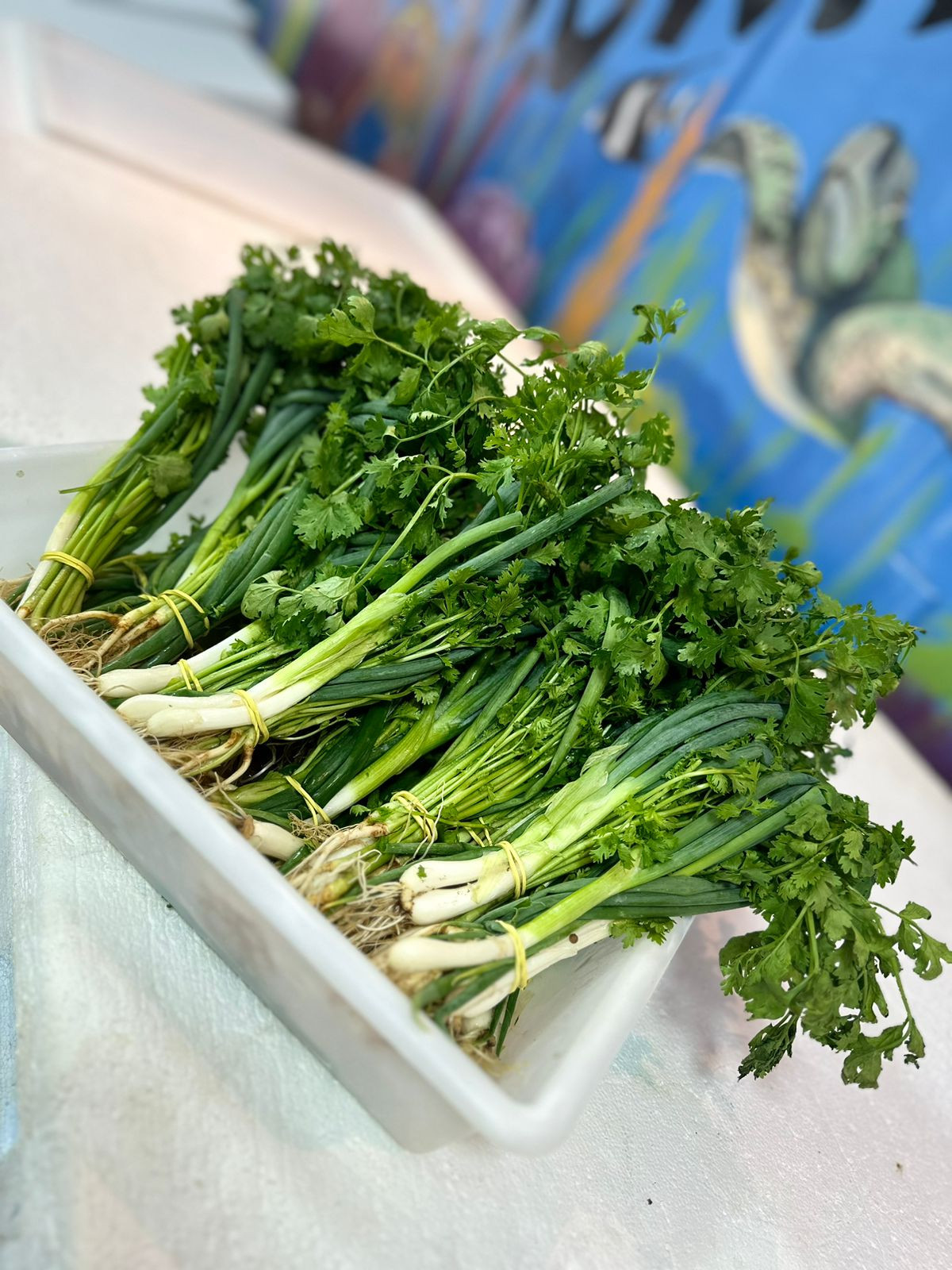 Cheiro verde